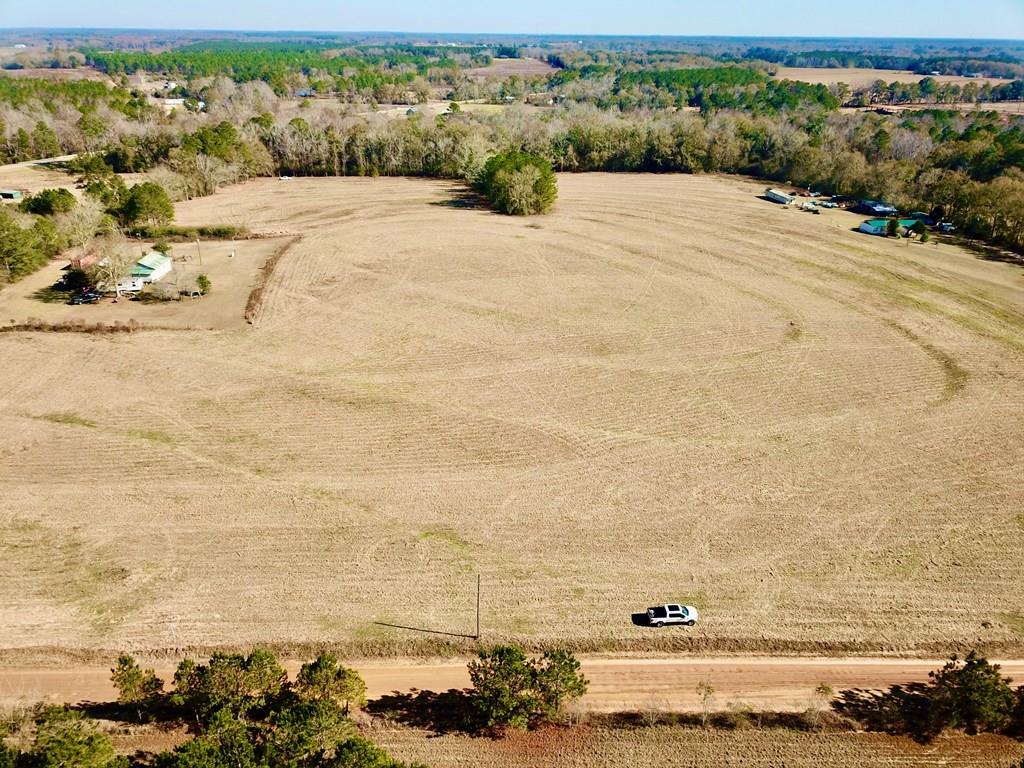 24.6-acres Grant Road Slocomb, AL 36375 - Photo 1 of 17