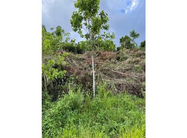 $22,000 | 0 139th Court, Dunnellon, FL 34432