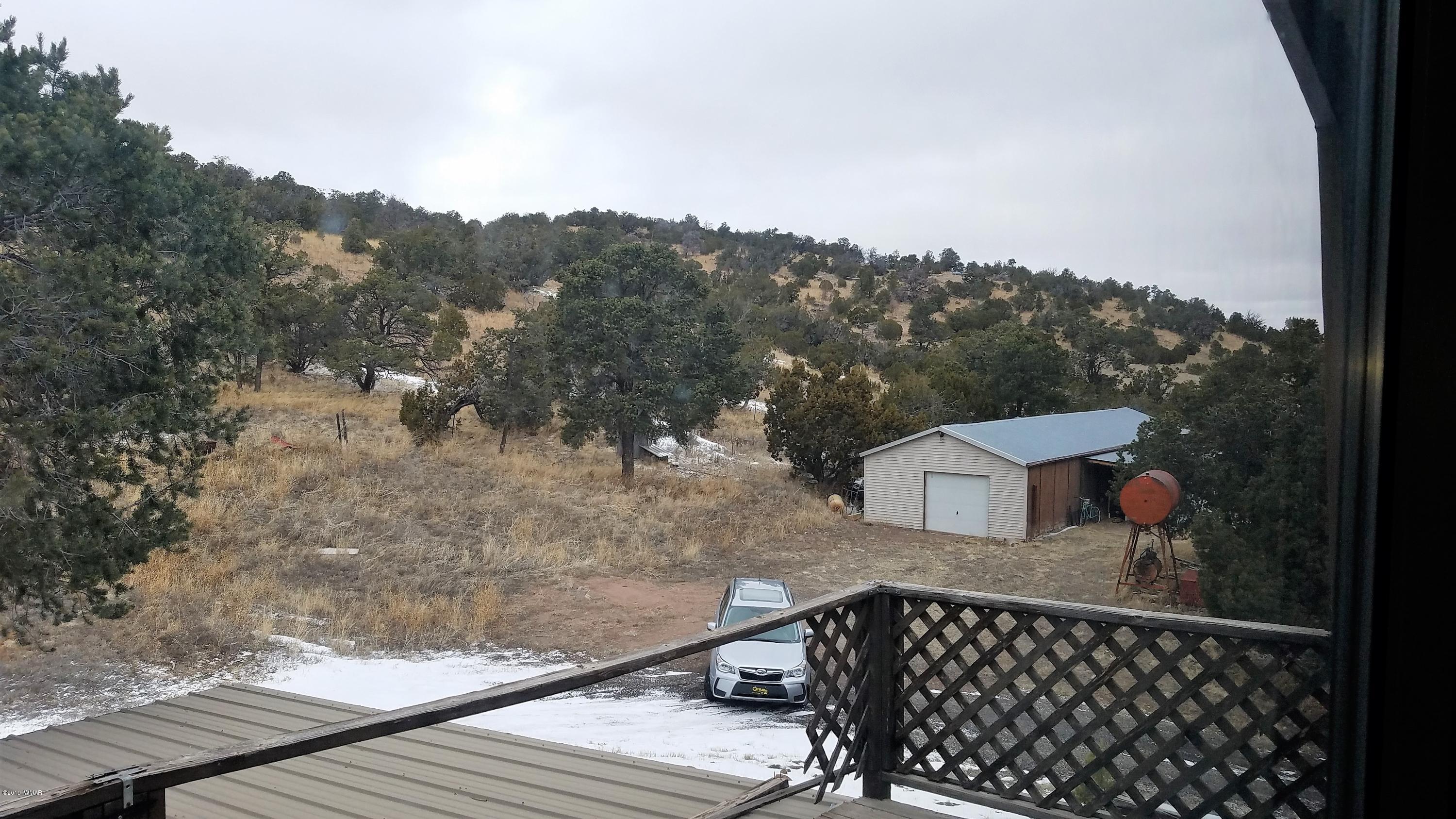 17 County Road 4131 Springerville, AZ 85938 - Photo 21 of 33