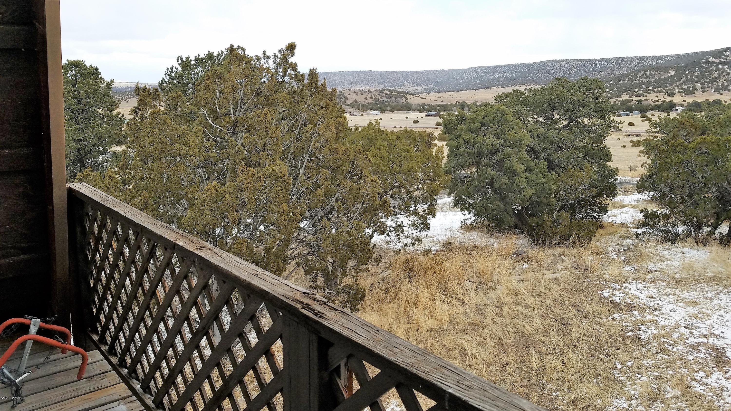 17 County Road 4131 Springerville, AZ 85938 - Photo 22 of 33