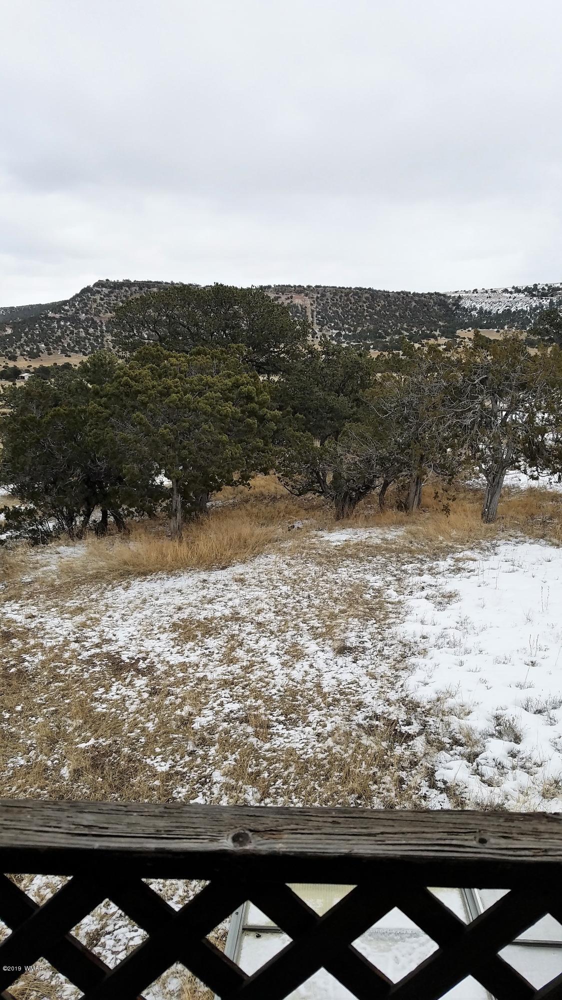 17 County Road 4131 Springerville, AZ 85938 - Photo 23 of 33