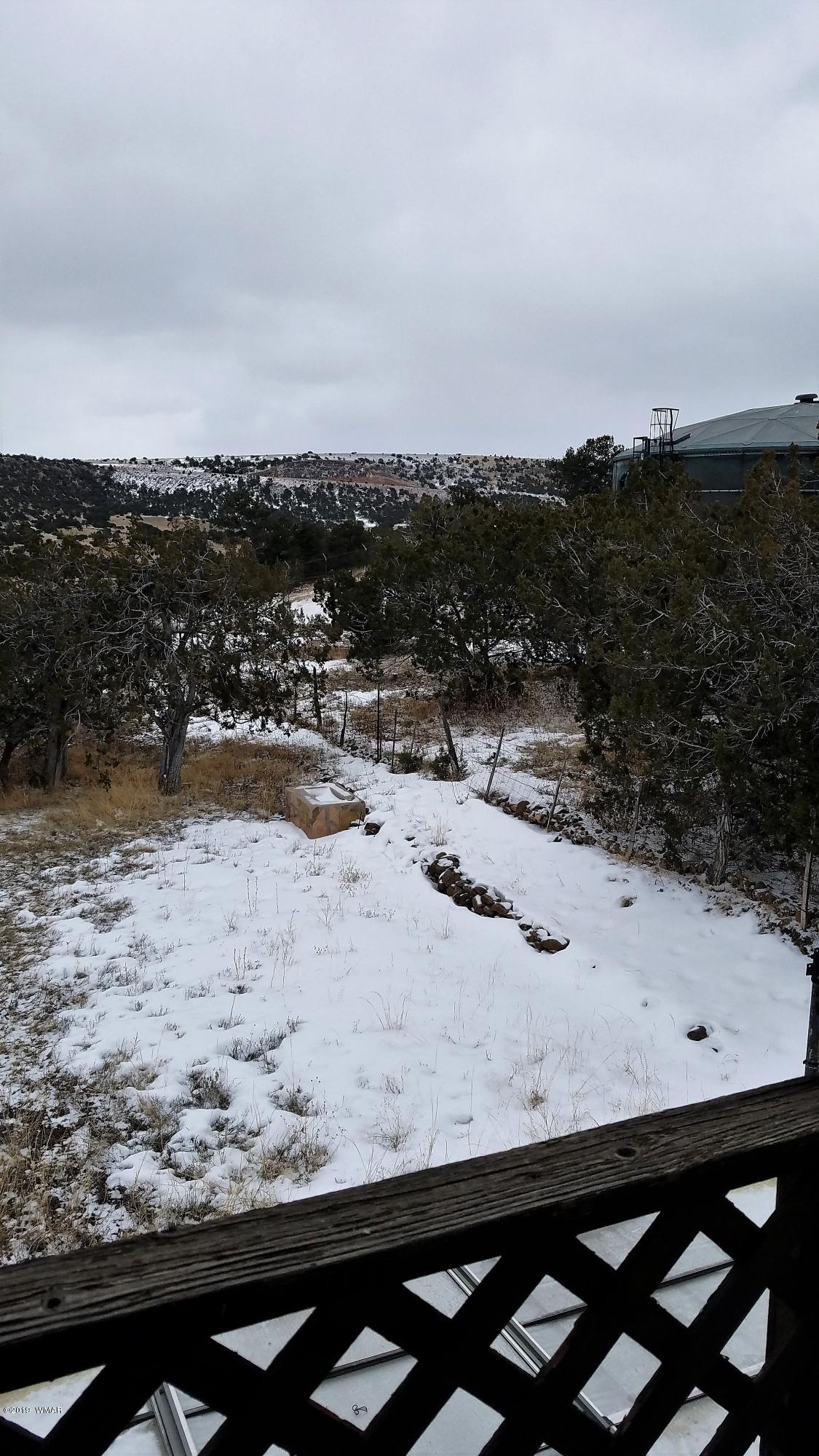 17 County Road 4131 Springerville, AZ 85938 - Photo 24 of 33