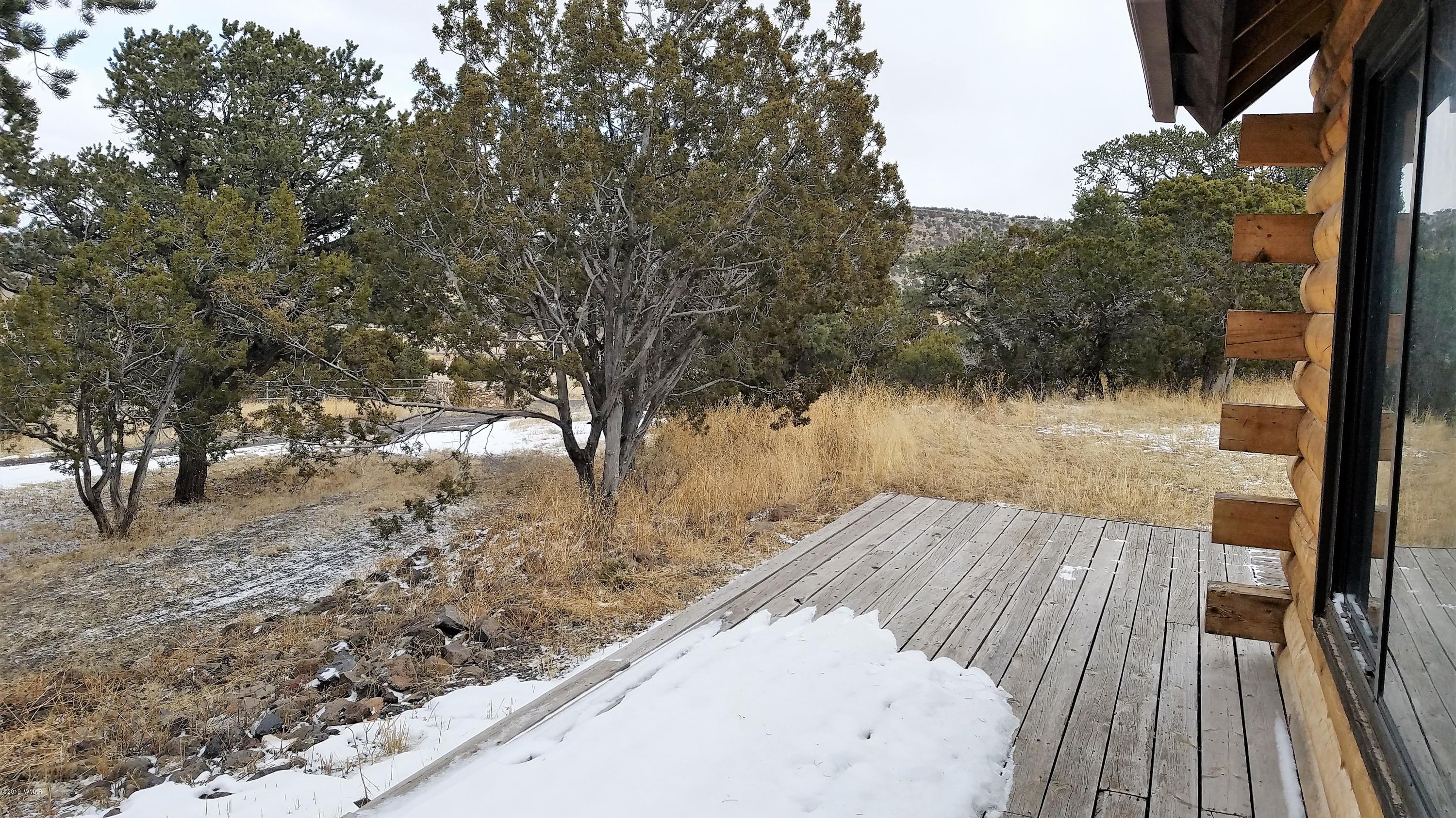 17 County Road 4131 Springerville, AZ 85938 - Photo 30 of 33