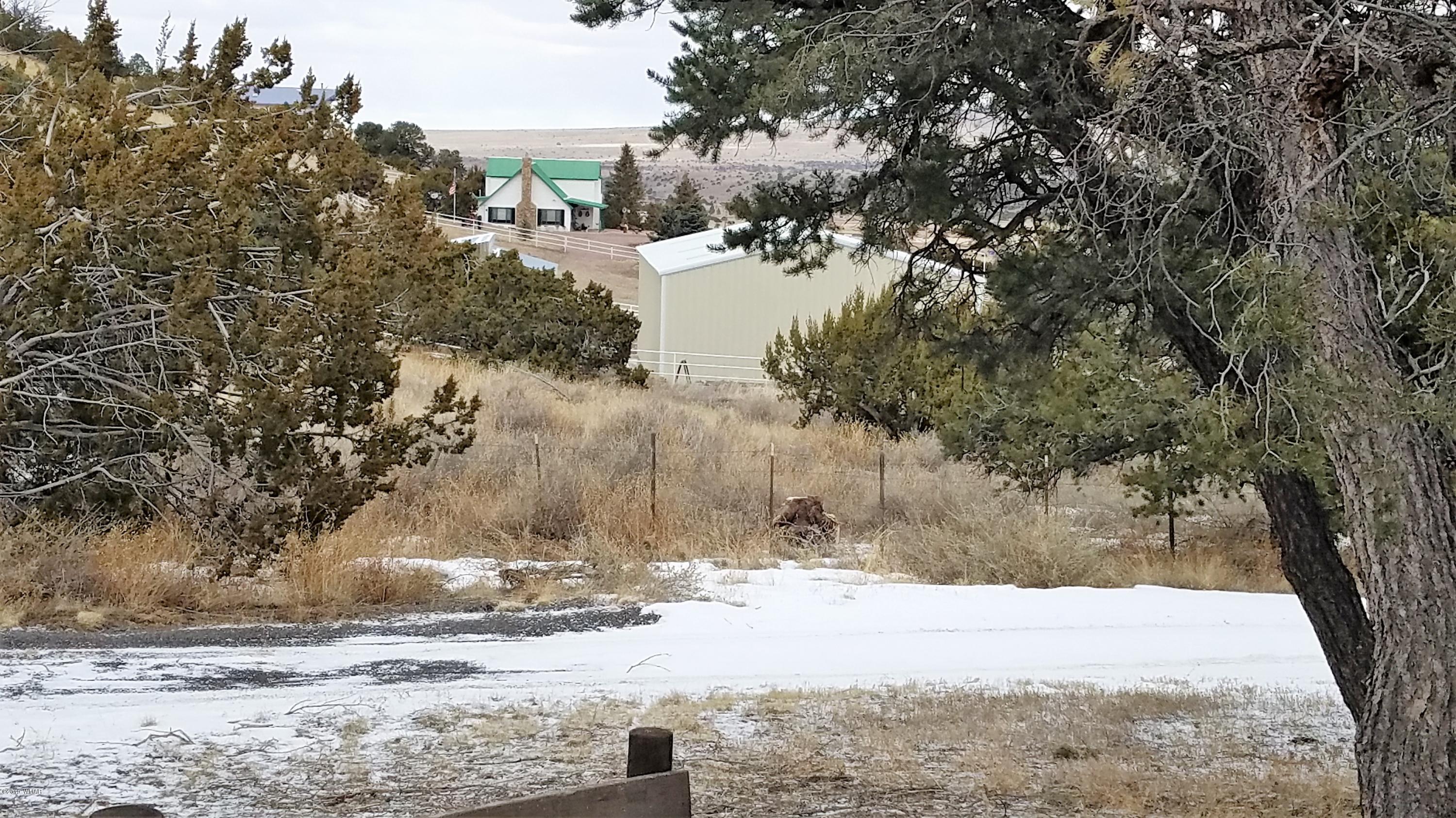 17 County Road 4131 Springerville, AZ 85938 - Photo 31 of 33