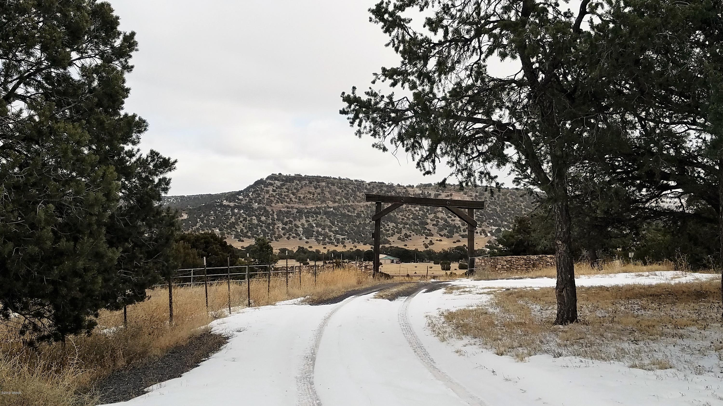 17 County Road 4131 Springerville, AZ 85938 - Photo 32 of 33