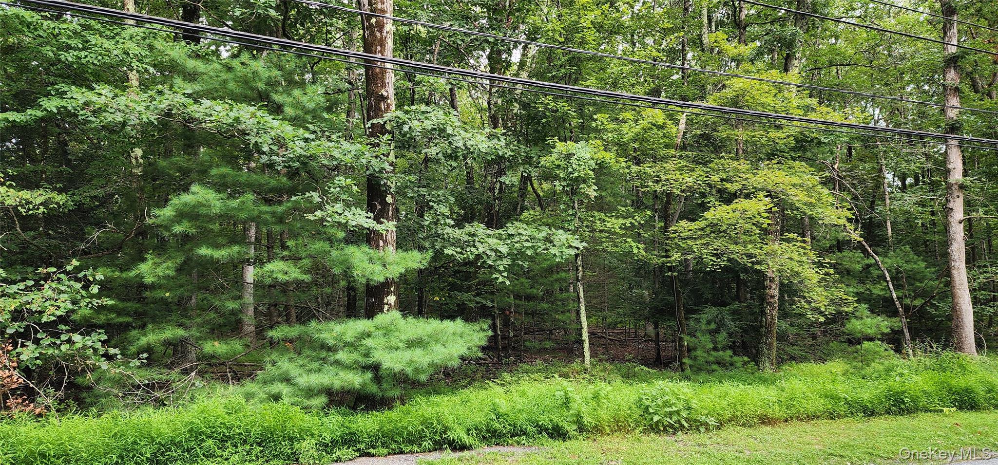 128 Wilson Road Sparrowbush, NY 12780 - Photo 1 of 4