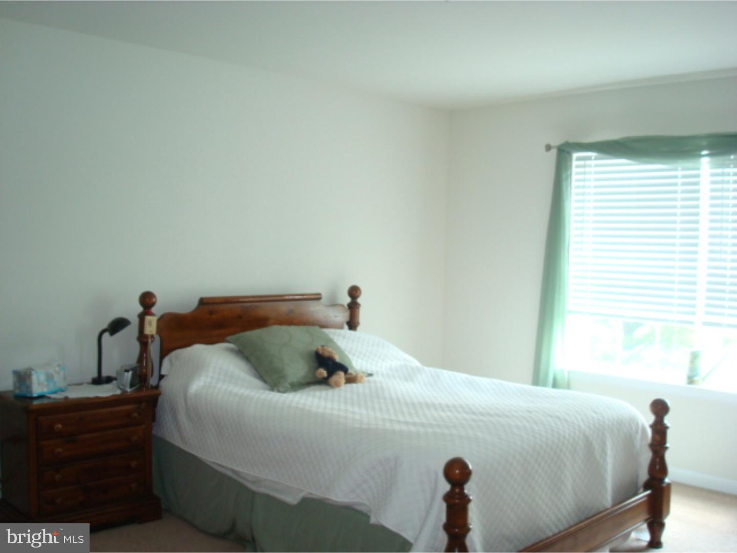 226 Green Tree Road Phoenixville, PA 19460 - Photo 11 of 25 Master Bedroom
