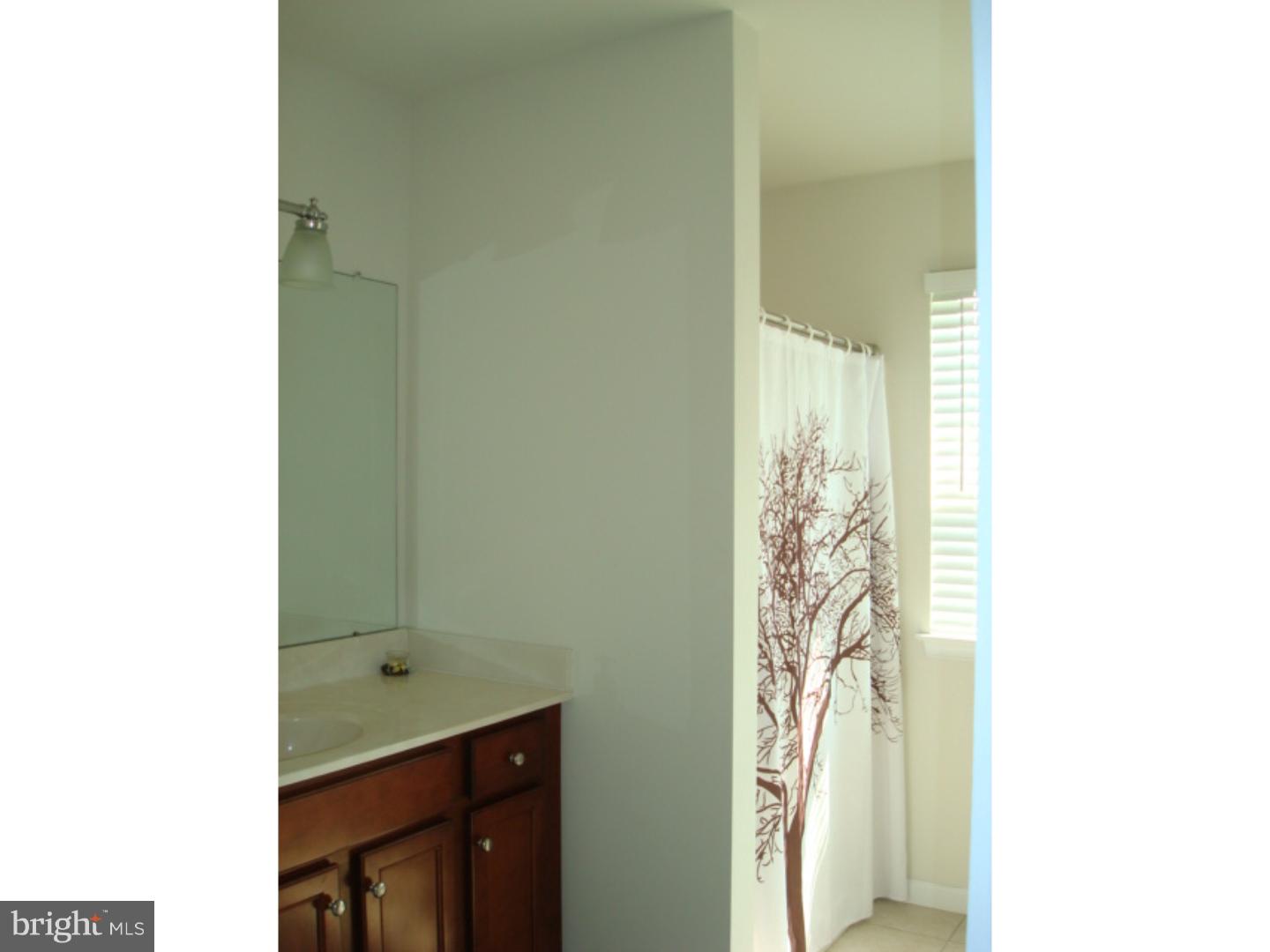 226 Green Tree Road Phoenixville, PA 19460 - Photo 13 of 25 Master Bathroom