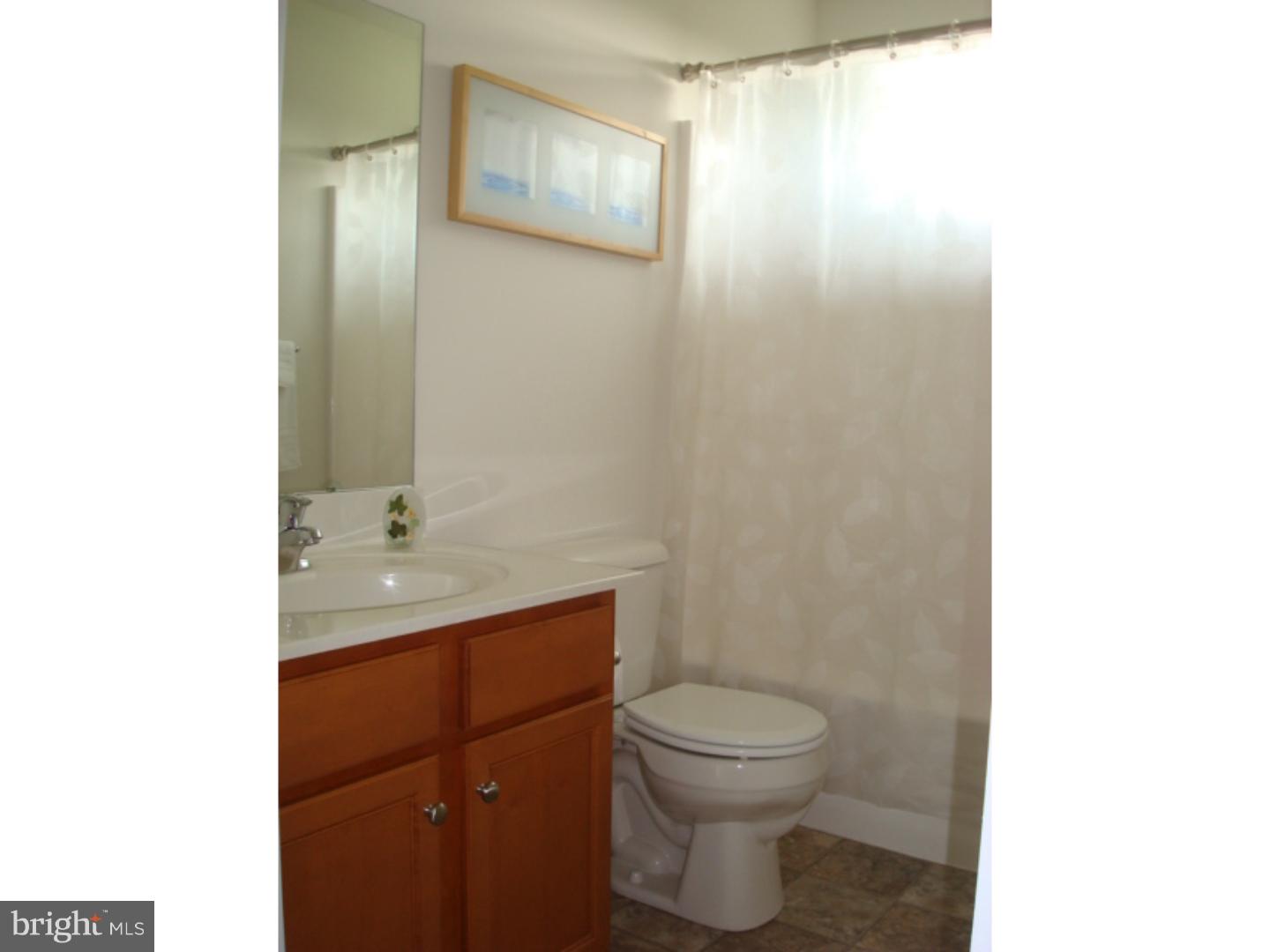 226 Green Tree Road Phoenixville, PA 19460 - Photo 21 of 25 Bathroom