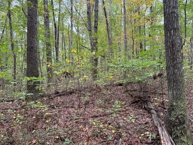 3 Tipple Road Tracy City, TN 37387 - Photo 16 of 18 a view of a forest that has large trees
