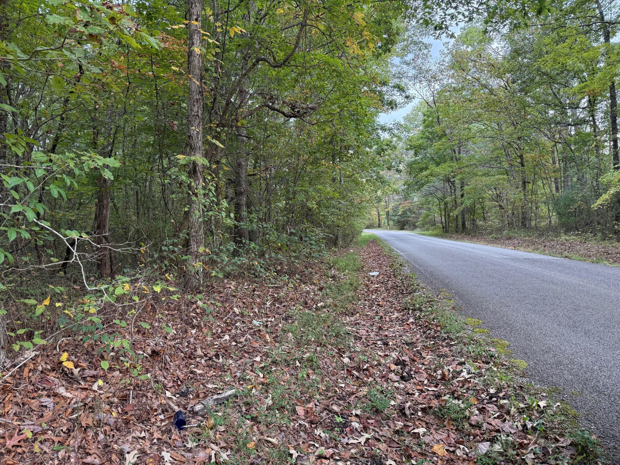 3 Tipple Road Tracy City, TN 37387 - Photo 18 of 18 a view of backyard with green space