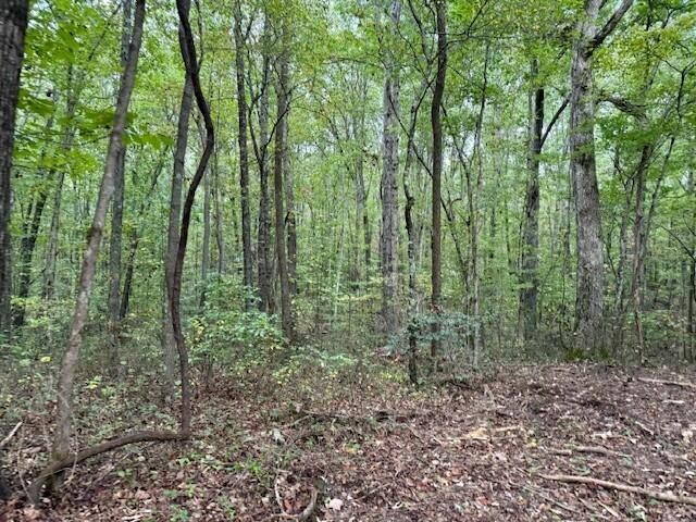 3 Tipple Road Tracy City, TN 37387 - Photo 3 of 18 a view of a forest with trees