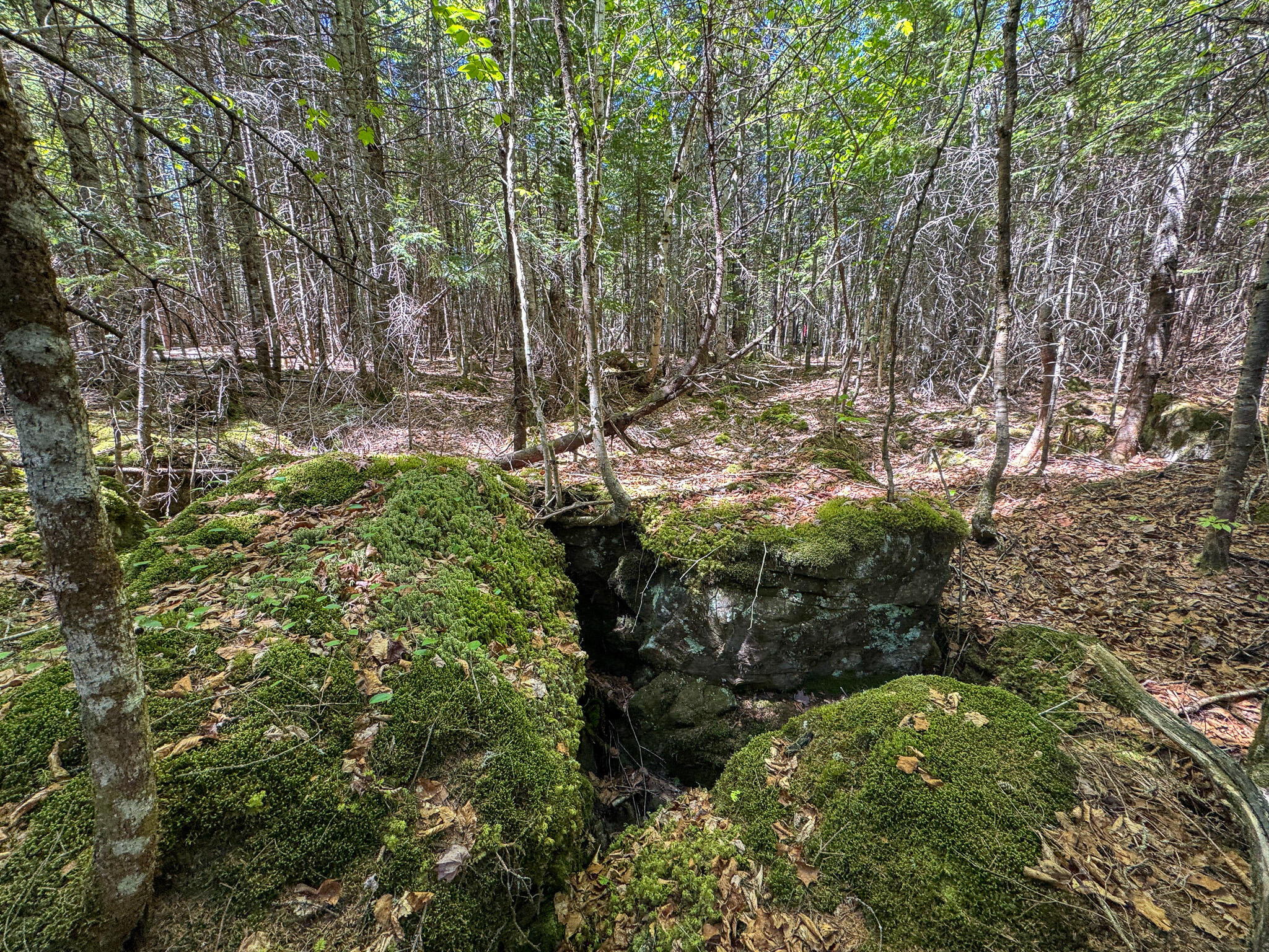 Lot 10 Morrison Brook, Unit ACRES Oakfield, ME 04763 - Photo 8 of 11
