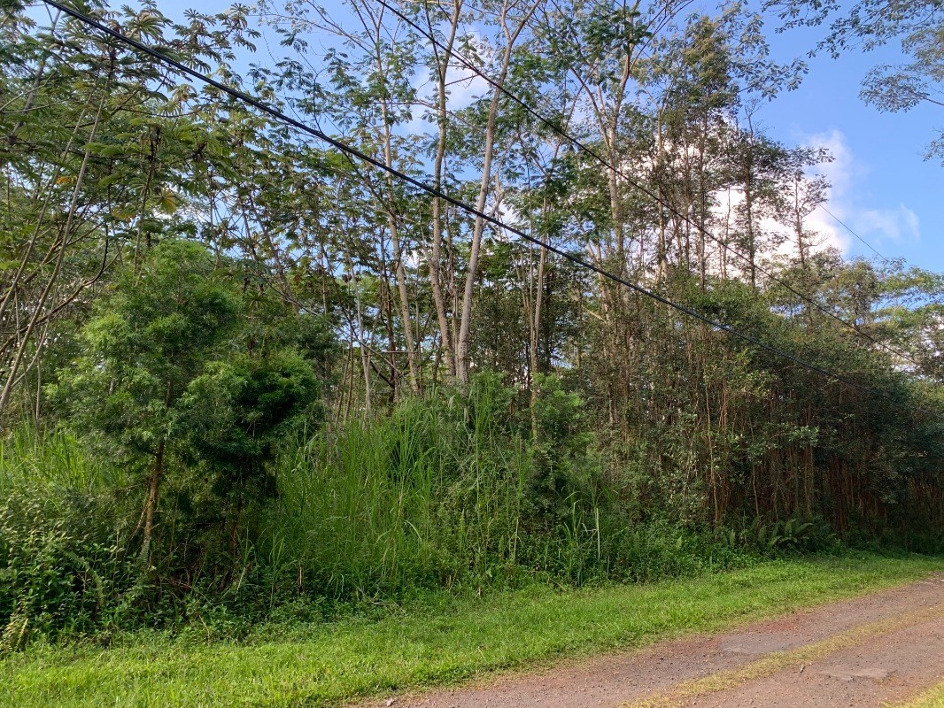486 Mauna Kea Road Pahoa, HI 96778 - Photo 2 of 5 Gallery Image 2