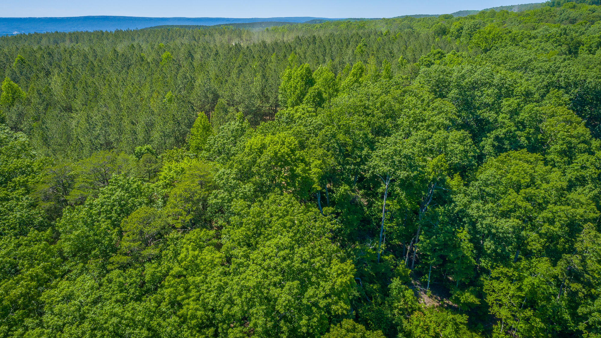 0 Split Rail Way, Unit 1349 Guild, TN 37340 - Photo 42 of 108 0 Split Rail Way - Lot 1349 HD-15