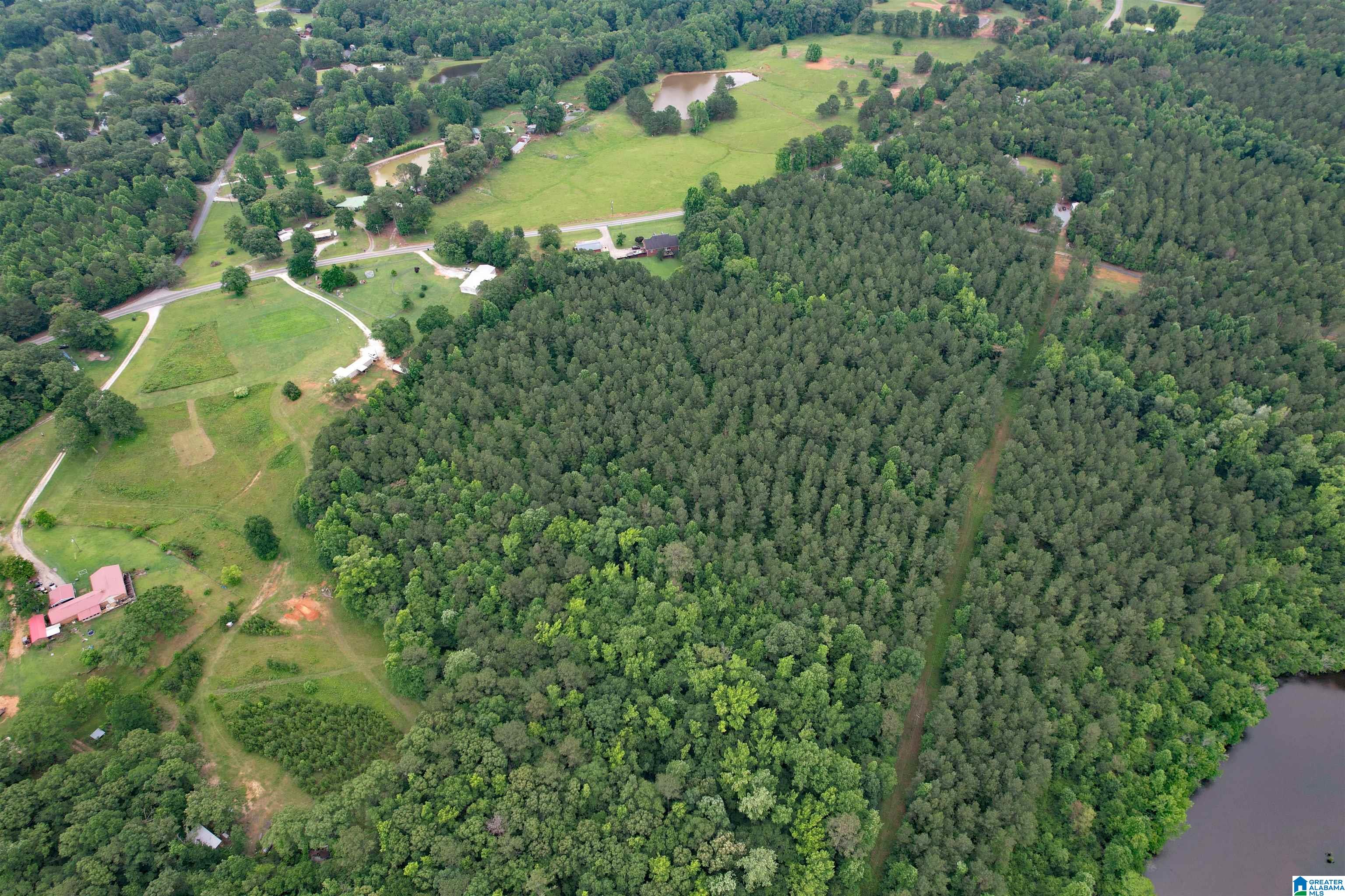 0 Houston Road Sylacauga, AL 35151 - Photo 19 of 32
