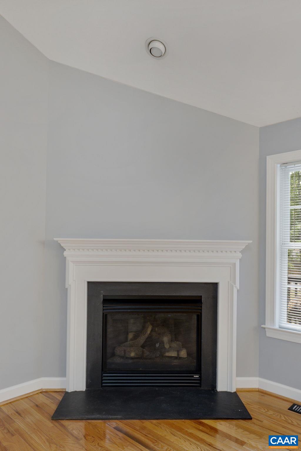 51 Amethyst Road Palmyra, VA 22963 - Photo 8 of 51 Gallery Image 8