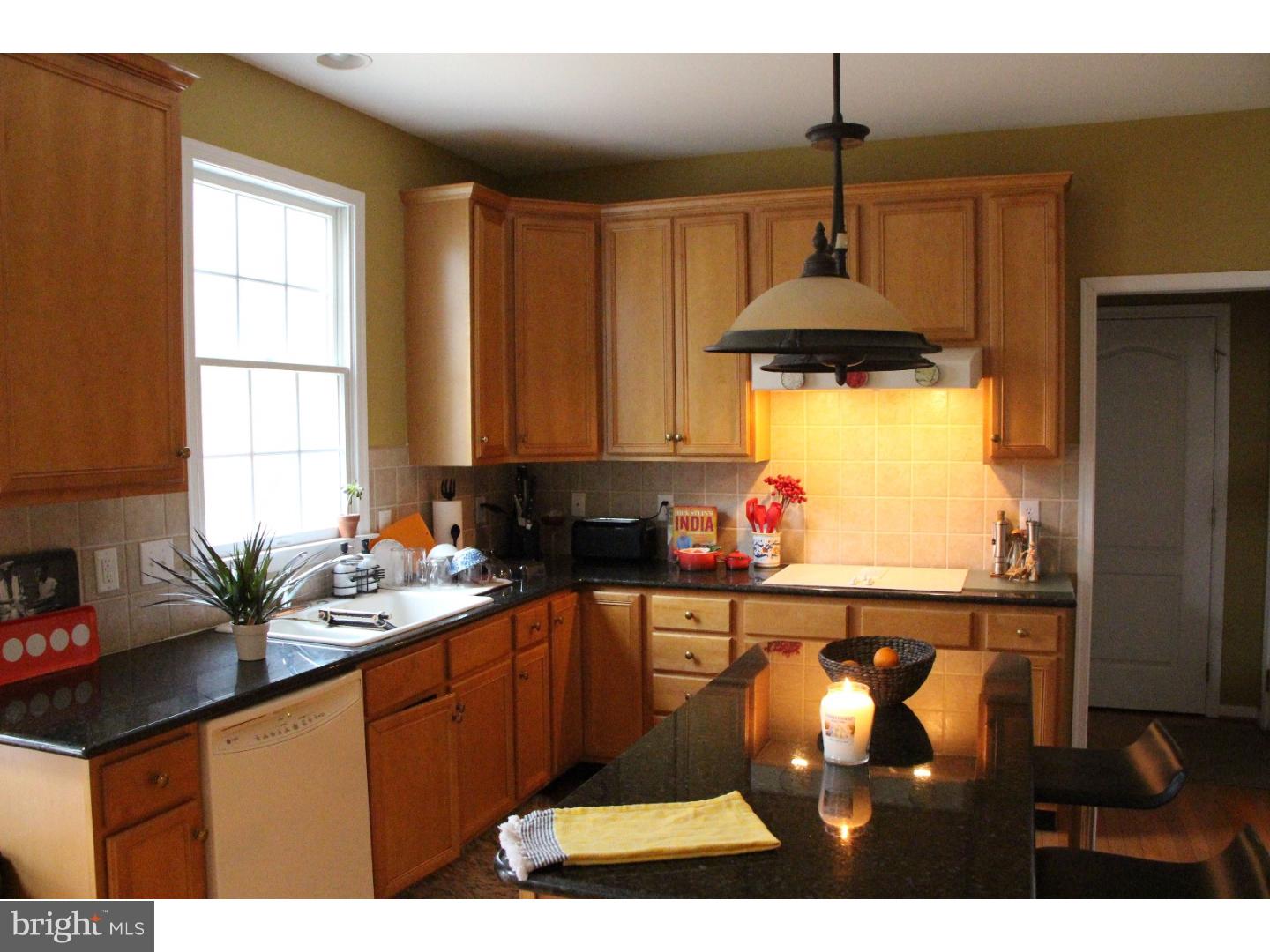 3825 Green Ridge Road Furlong, PA 18925 - Photo 2 of 19 Kitchen