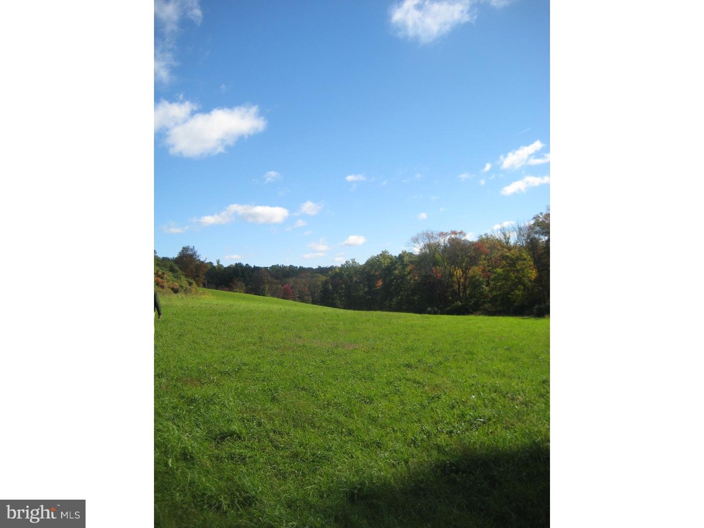 117 Mexico Road Oley, PA 19547 - Photo 2 of 10