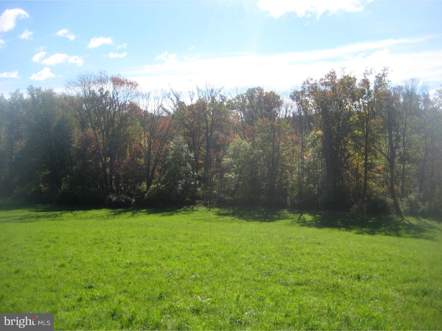 117 Mexico Road Oley, PA 19547 - Photo 4 of 10