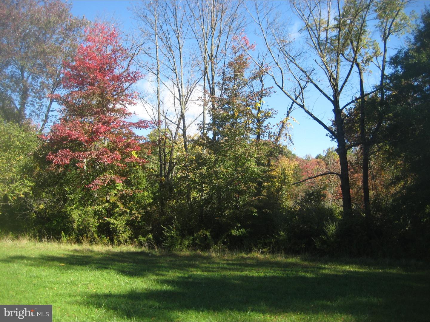 117 Mexico Road Oley, PA 19547 - Photo 9 of 10