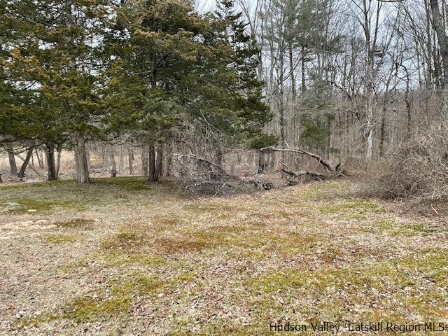 1248 Old Post Road New Paltz, NY 12561 - Photo 4 of 15 a backyard of a house