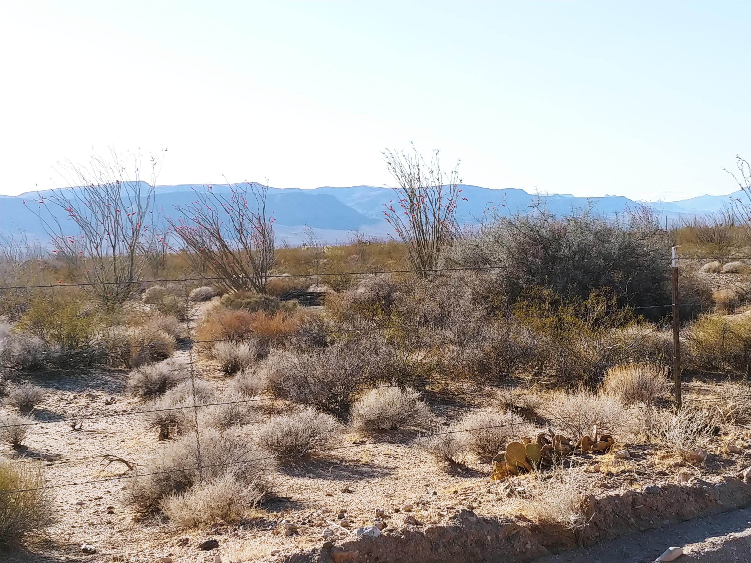 3397 West Santa Fe Ranch Road Yucca, AZ 86438 - Photo 17 of 21 View to the west
