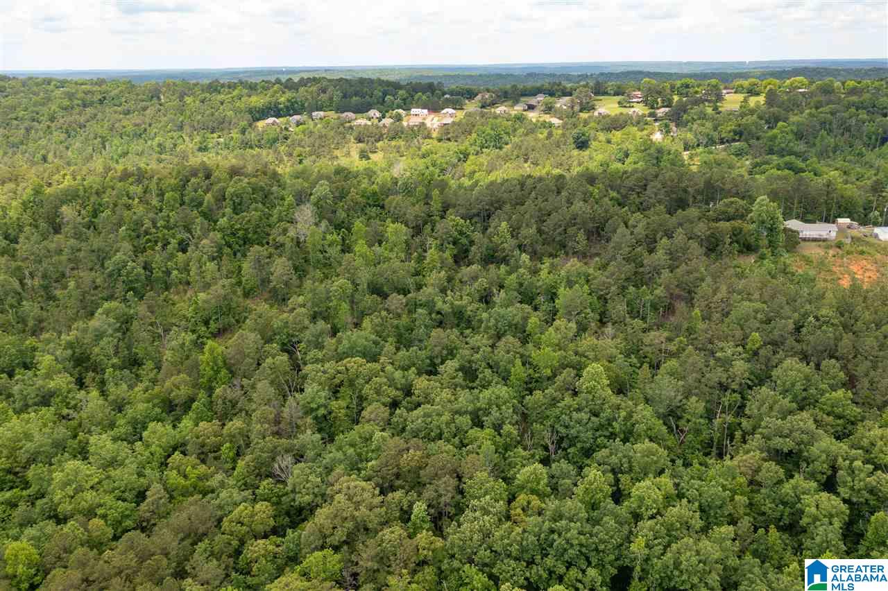 344 Roubdioux Road Bessemer, AL 35022 - Photo 31 of 37 Gallery Image 31