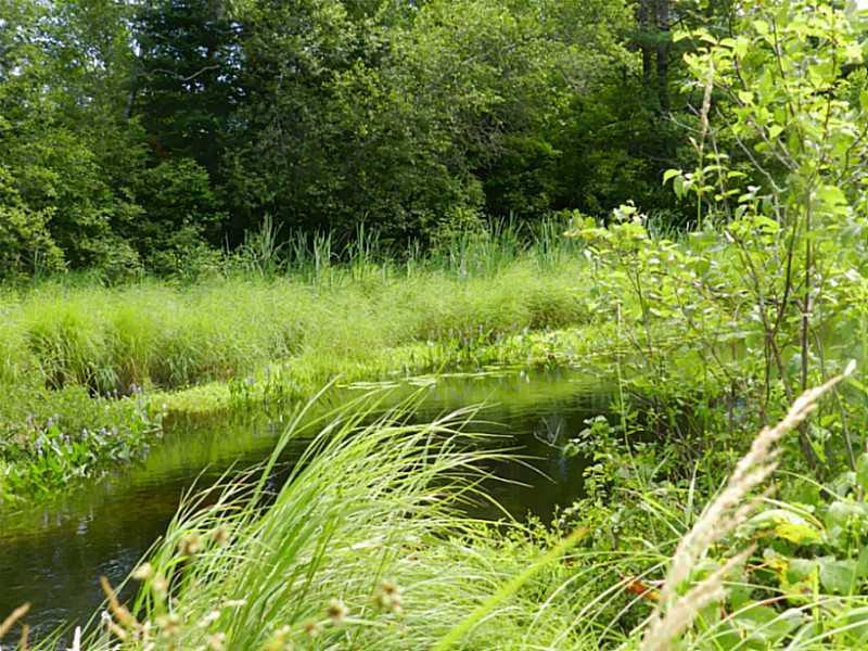 107 Ford Hill Road Hartland, ME 04943 - Photo 11 of 27 Land.