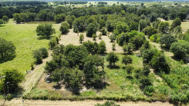a view of a lake with large trees