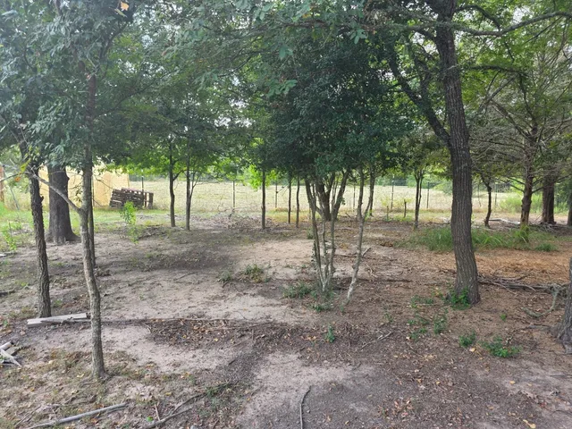 a view of outdoor space with trees