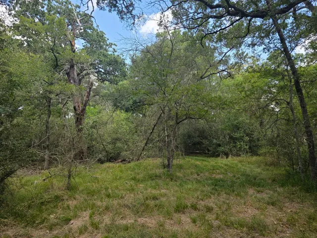 a view of outdoor space and trees