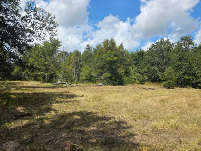 a view of outdoor space and yard