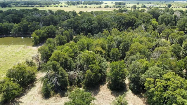 an aerial view of residential houses with outdoor space and trees