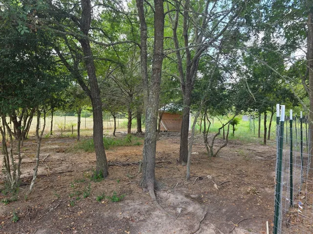 a backyard of a house with lots of tree