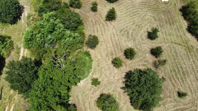 a view of swimming pool from a balcony