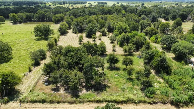 a big yard with lots of green space and house view