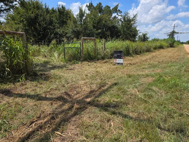 a view of a yard with a tree