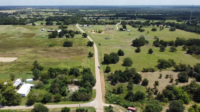 a view of a yard with a tree
