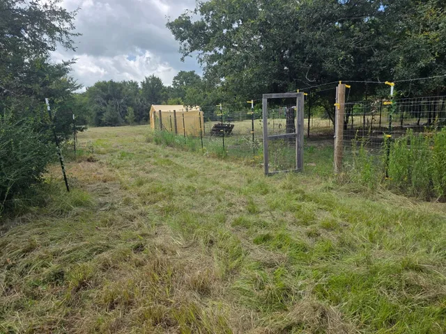 a view of a yard with a tree