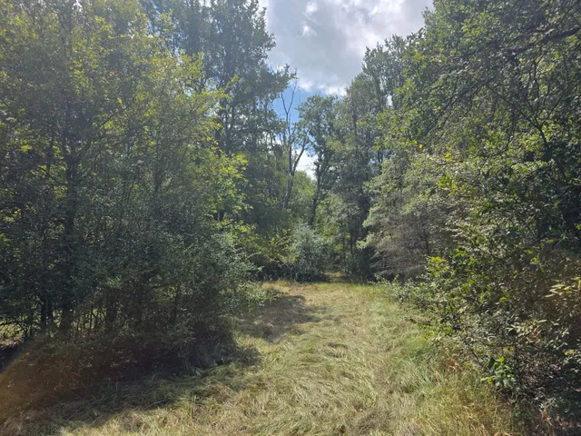 a backyard of a house with lots of trees