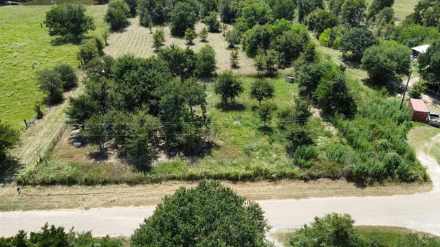 a view of a yard with plants