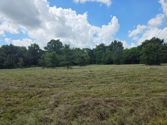 a view of a field with sky view