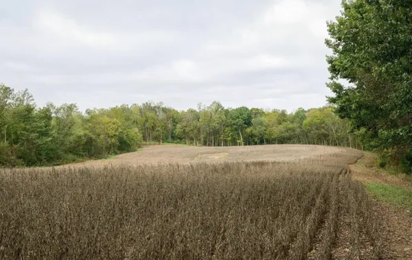 $335,000 | 8 Sturgeon Creek Road, Cedar Hill, TN 37032