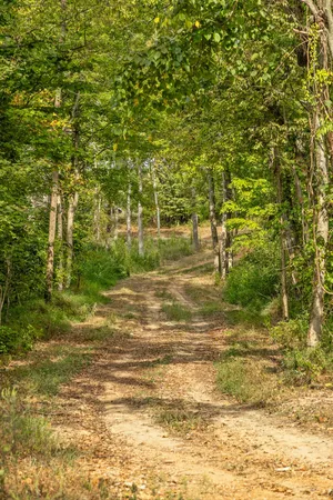 $335,000 | 8 Sturgeon Creek Road, Cedar Hill, TN 37032