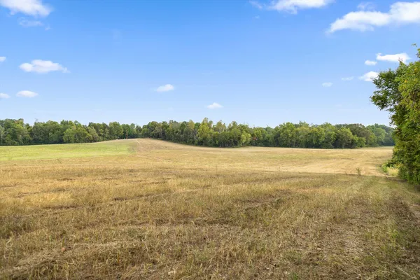 $335,000 | 8 Sturgeon Creek Road, Cedar Hill, TN 37032