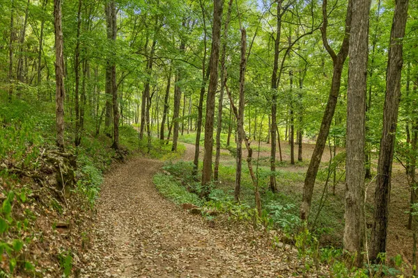 $335,000 | 8 Sturgeon Creek Road, Cedar Hill, TN 37032
