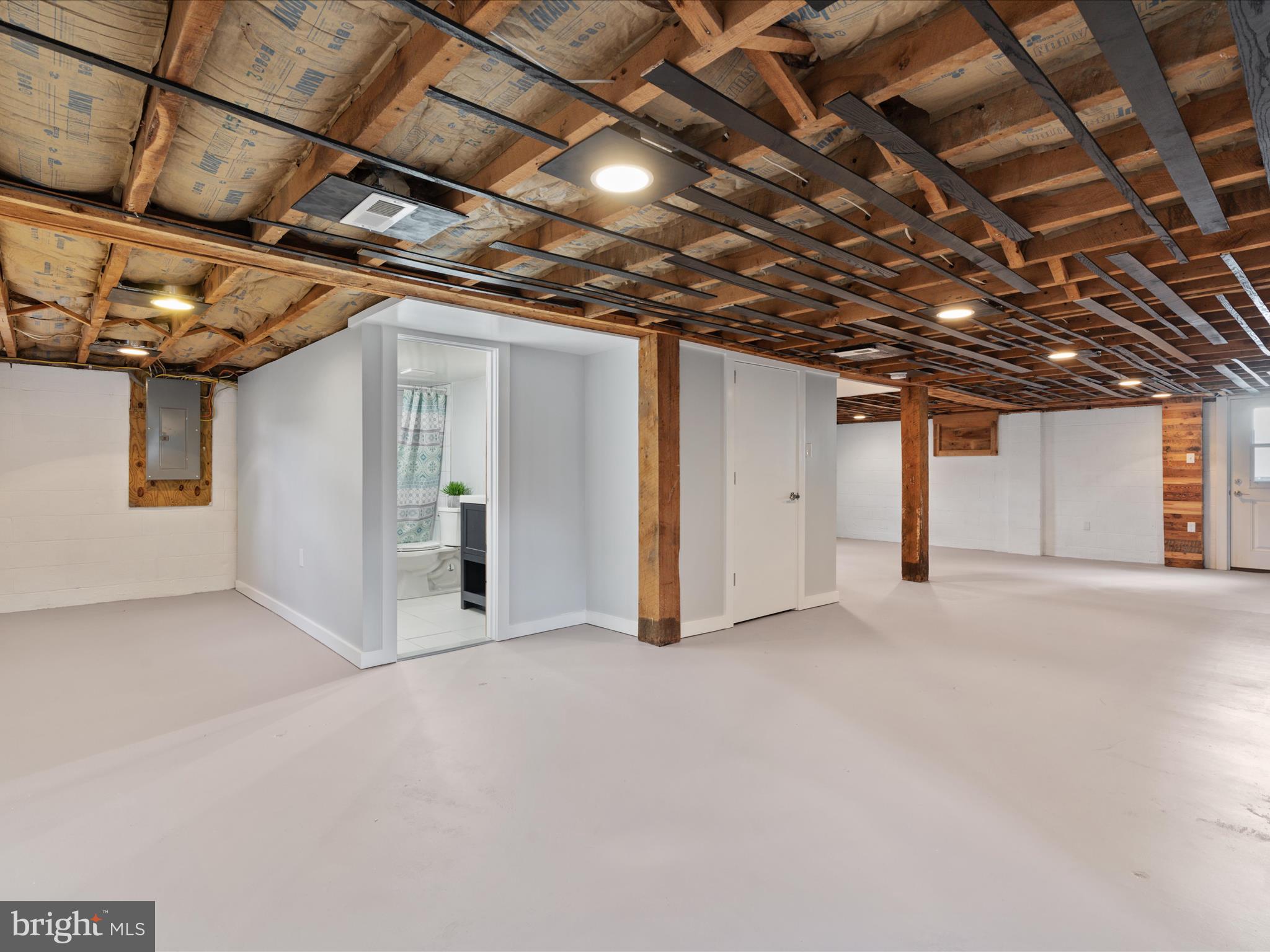 4834 Fort Valley Road Fort Valley, VA 22652 - Photo 24 of 45 Full unfinished basement - space for more rooms!