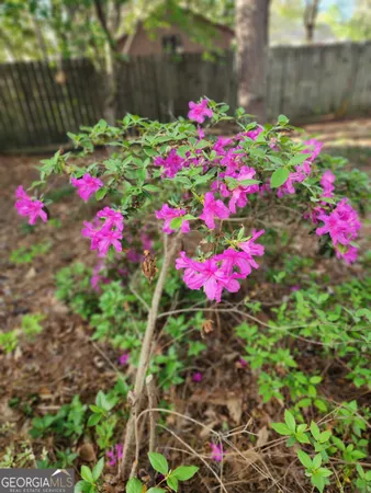 $3,000 | 180 Sycamore Bend, Fayetteville, GA 30214