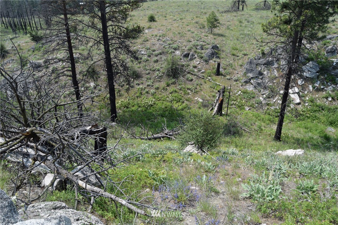 720 Chiliwist Road Malott, WA 98829 - Photo 12 of 23 Gallery Image 12